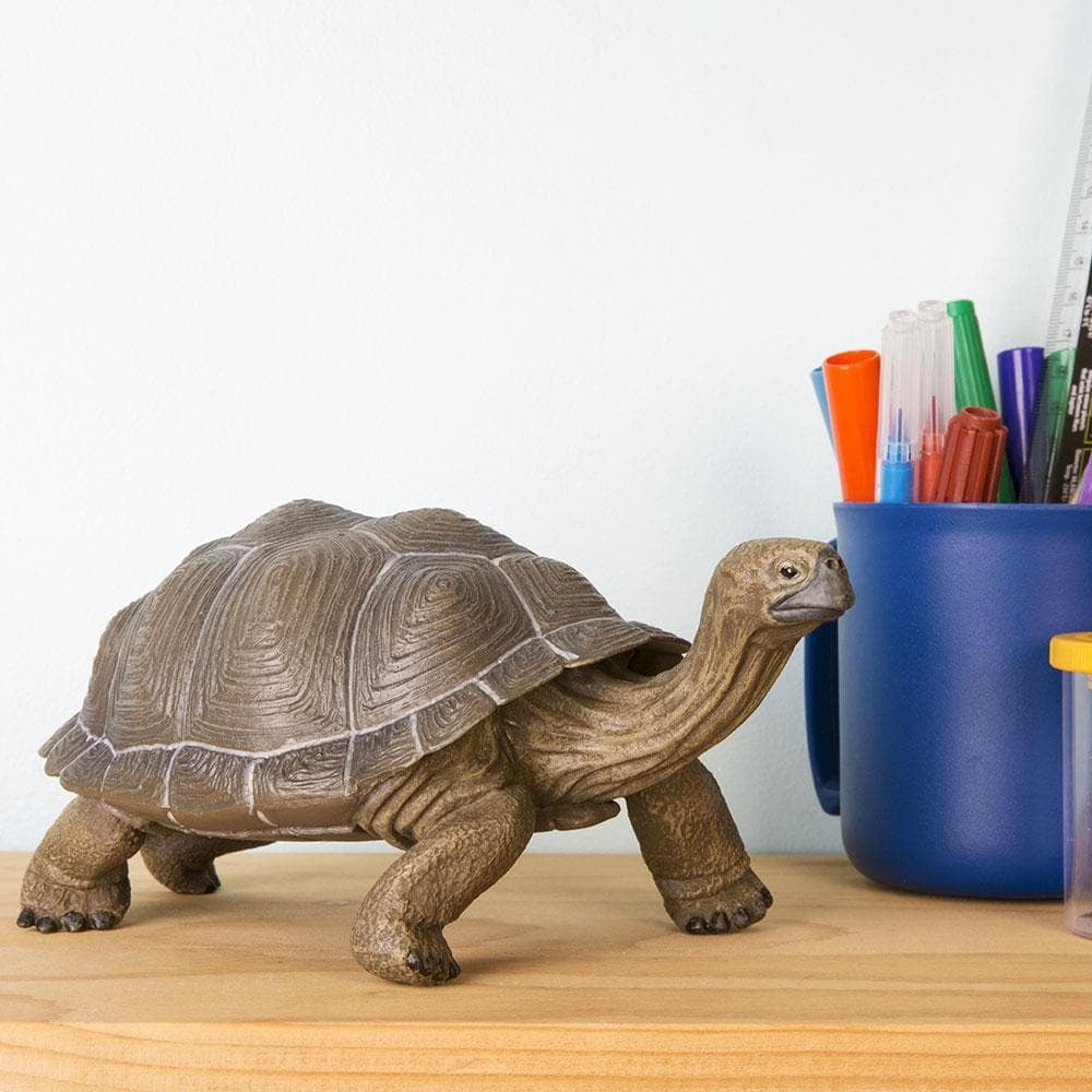 Tortoise Toy