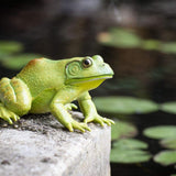 American Bullfrog Toy