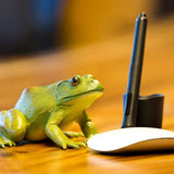 American Bullfrog Toy