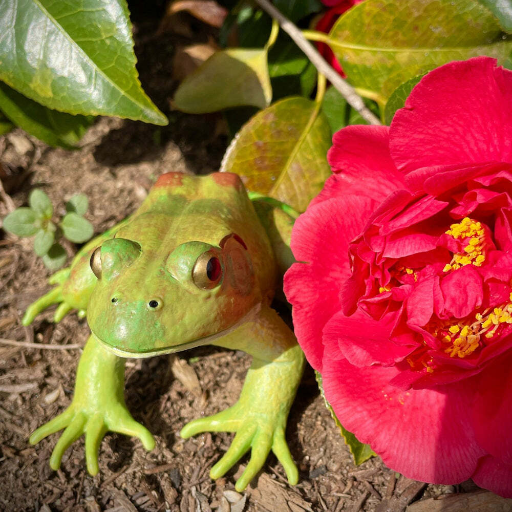 American Bullfrog Toy