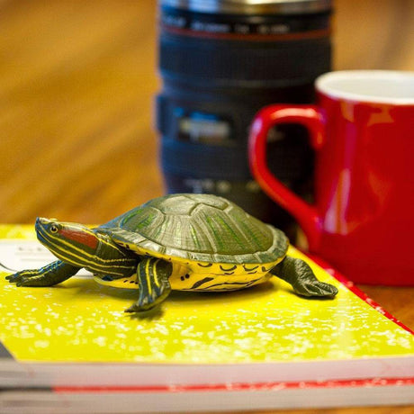 Red-Eared Slider Turtle Toy