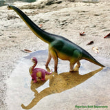 Brachiosaurus Toy
