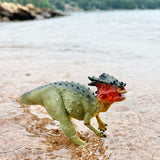 Dracorex Toy
