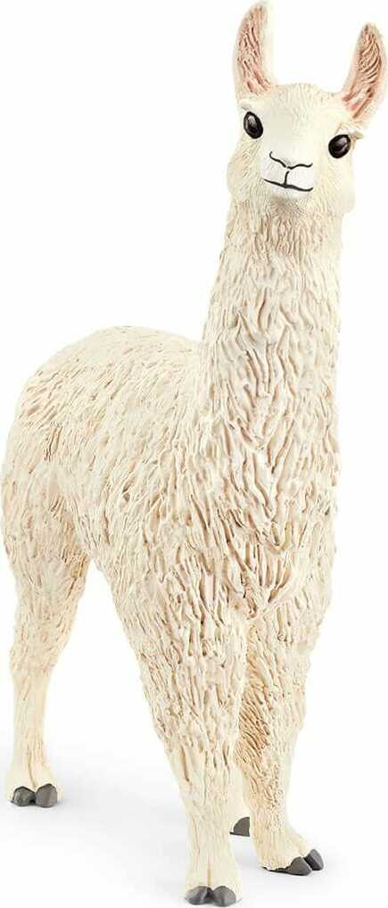 Llama