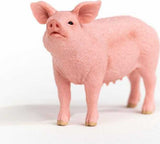 Pig