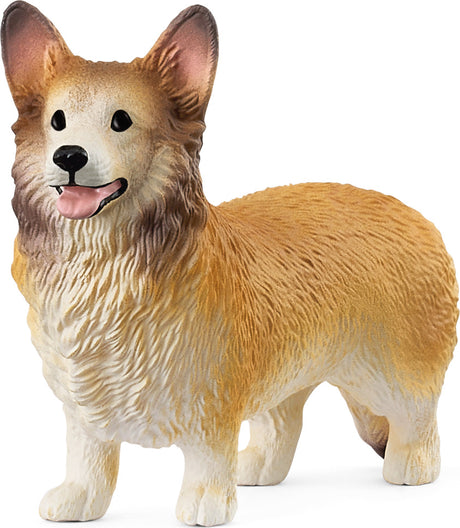 Welsh Corgie