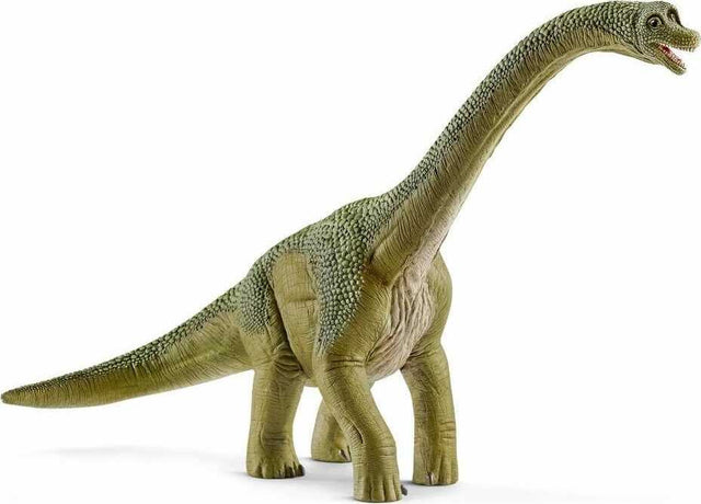 Brachiosaurus