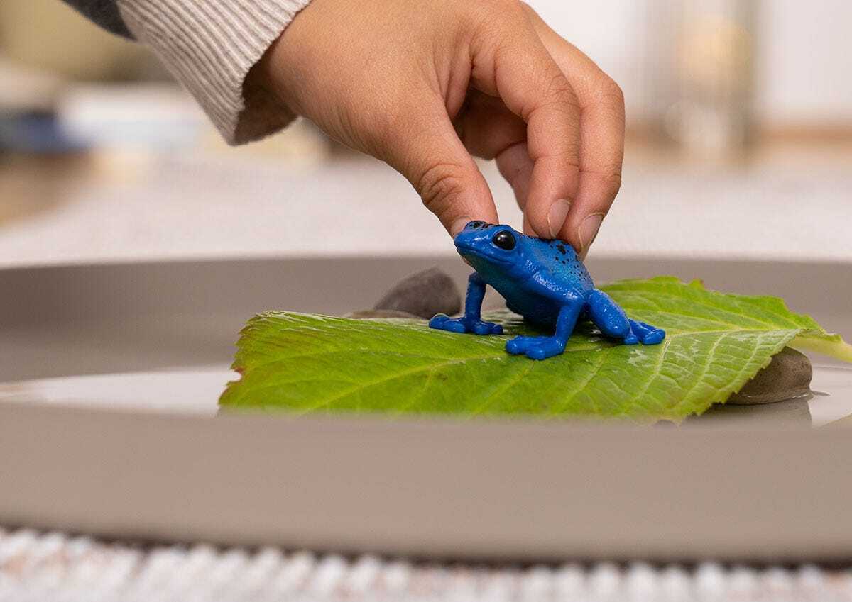 Blue Poison Dart Frog Animal Toy