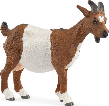 Goat
