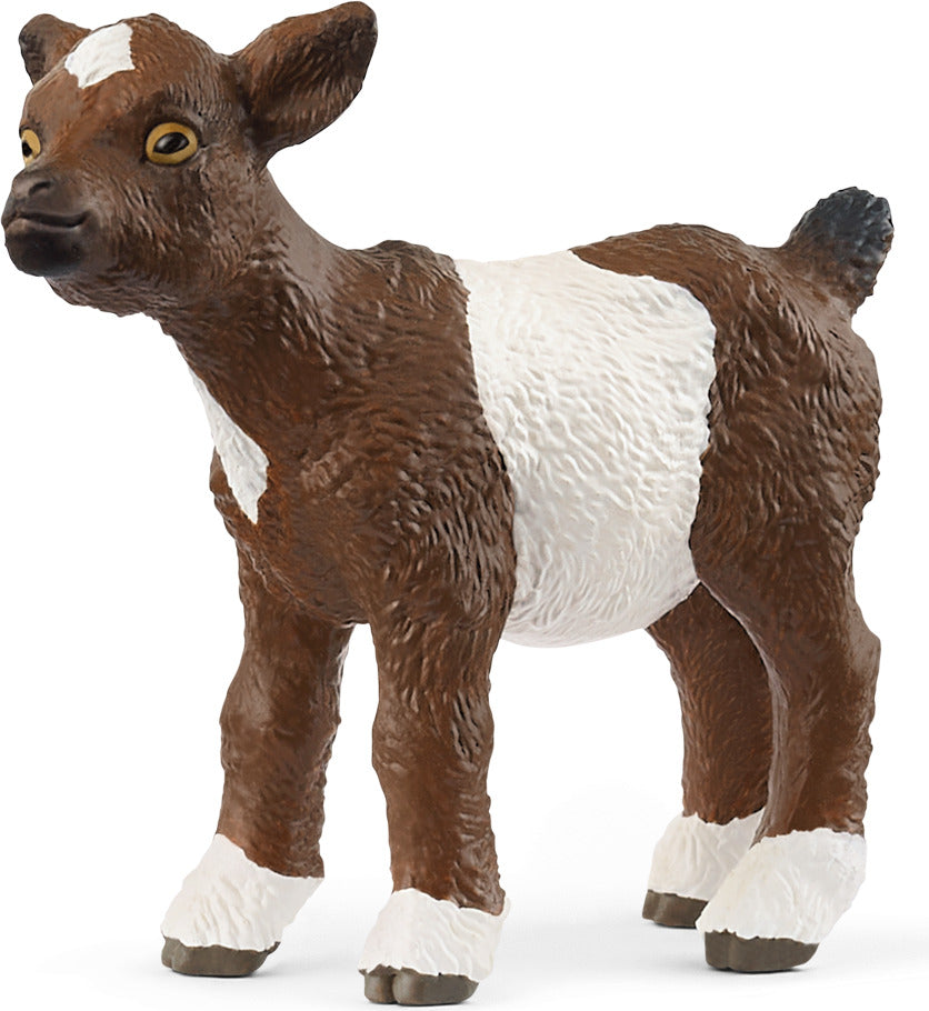 Goat Kid