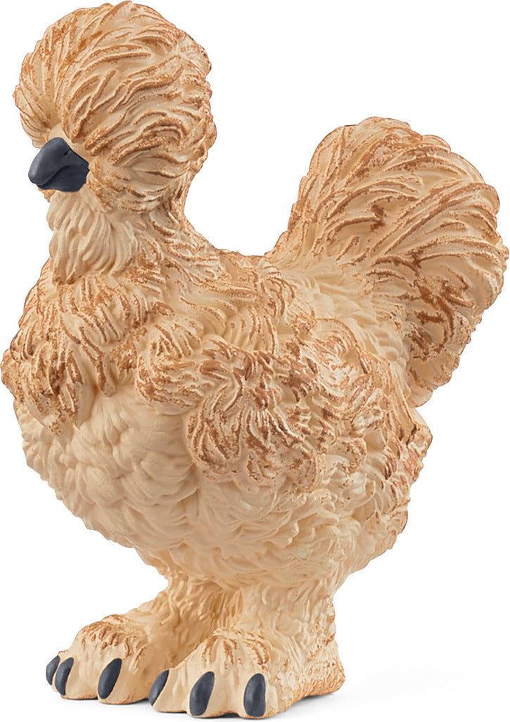 Silkie Chicken
