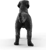Black Labrador Retriever Female