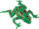 Frog Squishimals