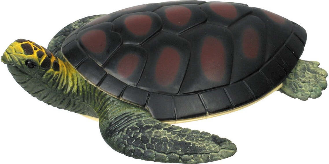 Turtle Squishimals (Assorted)
