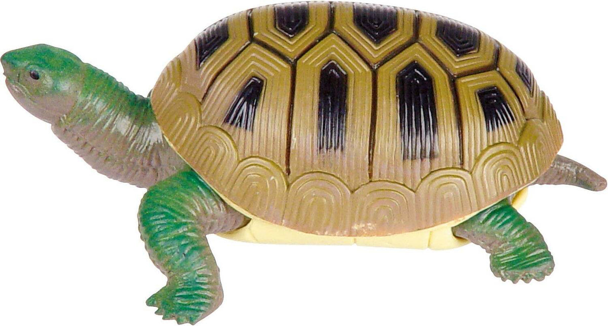 Turtle Squishimals (Assorted)