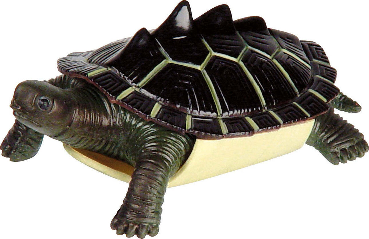 Turtle Squishimals (Assorted)