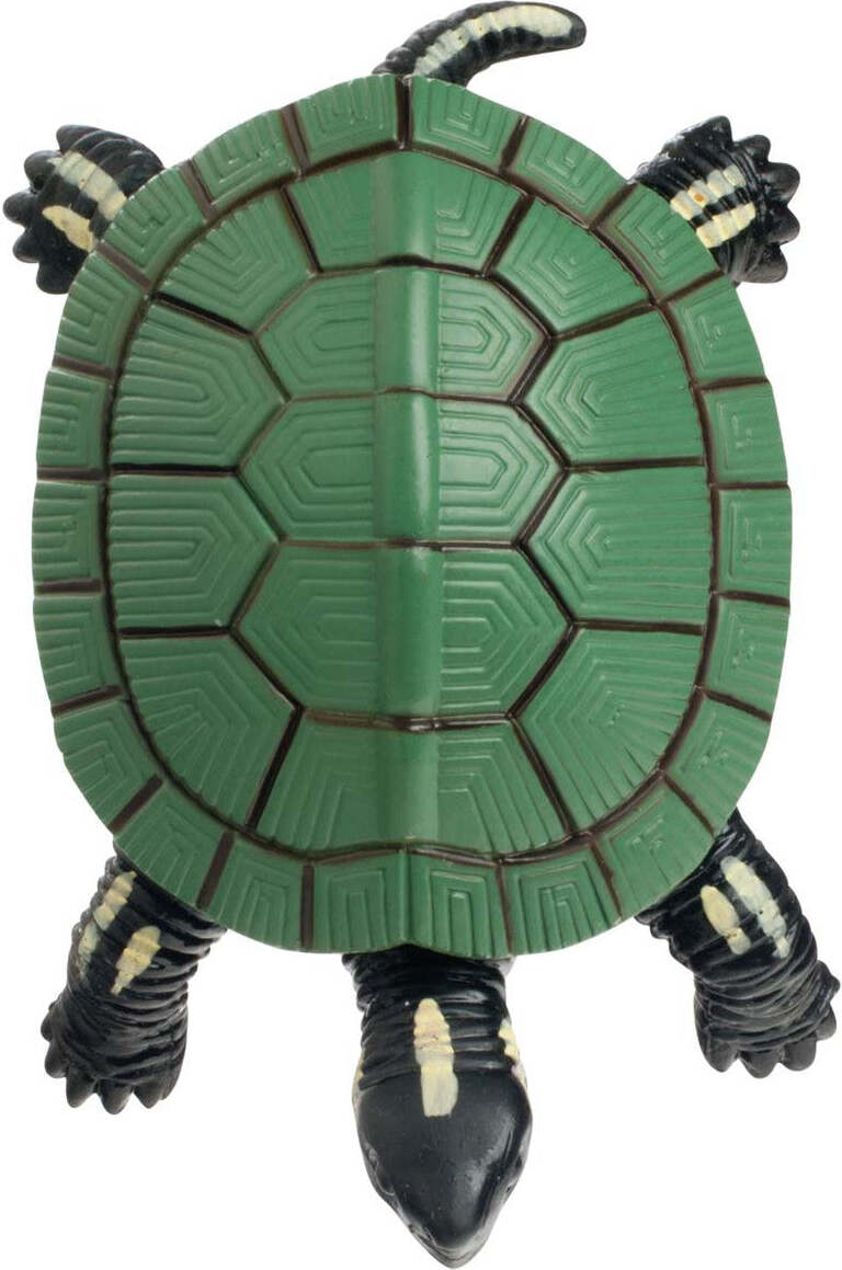 Turtle Squishimals (Assorted)