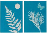 Outdoor Discovery Solar Print Kit