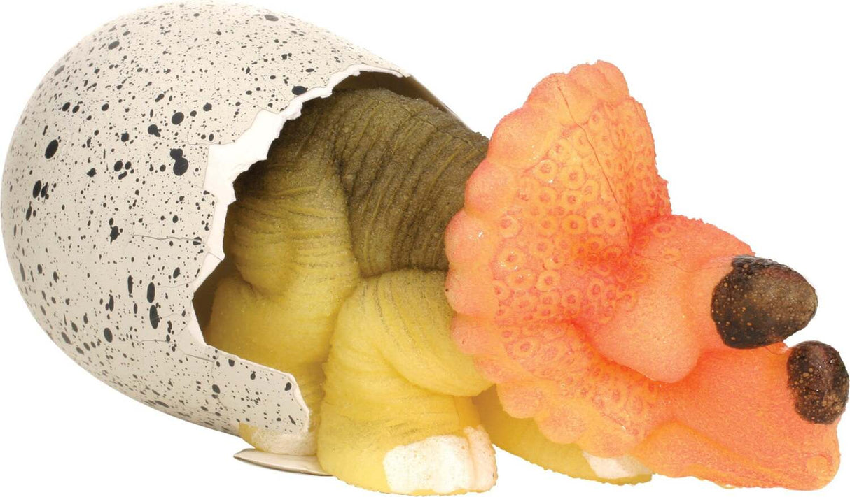 Ginormous Grow Dino Egg (Assorted)