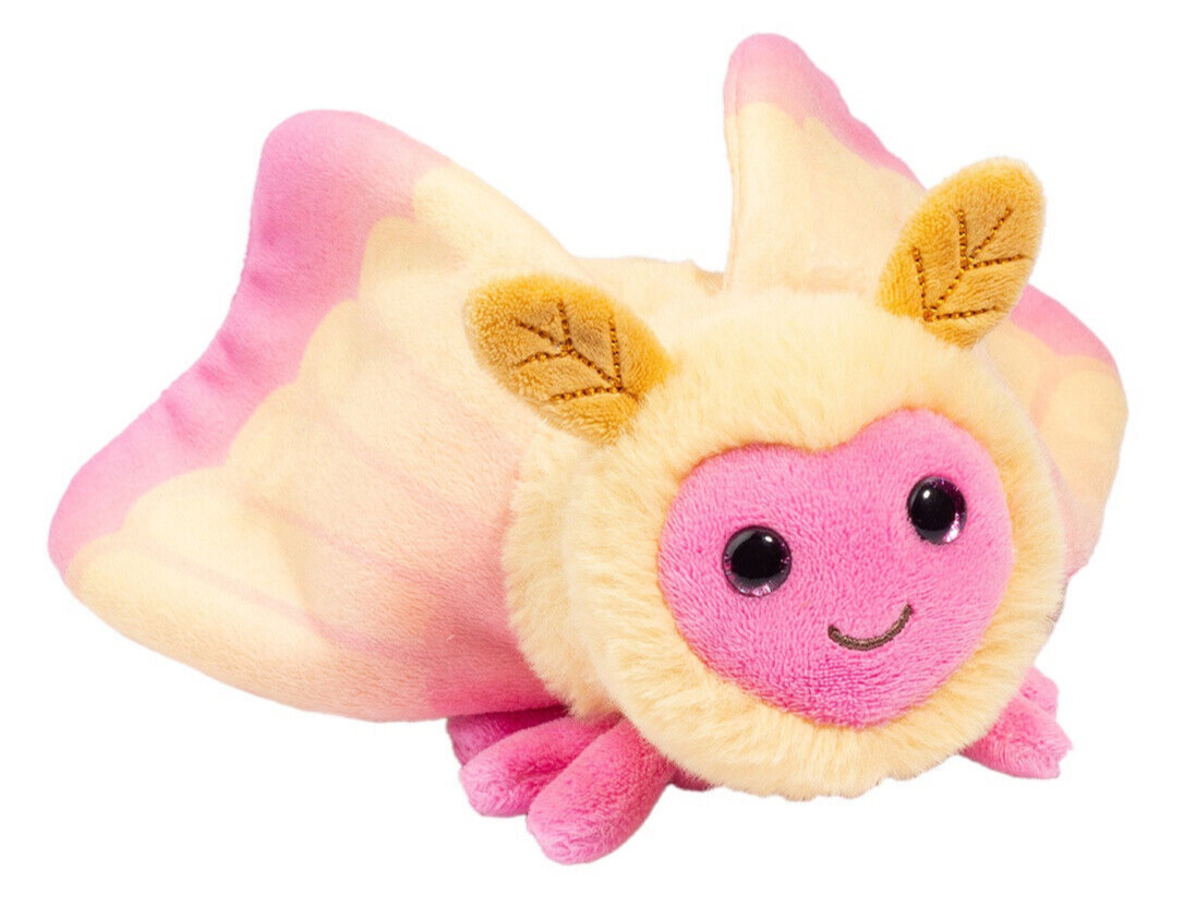 Cuddle Bug: Rosy Maple Moth