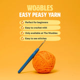Sebastian the Lion Beginner Crochet Kit