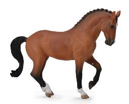 English Horses: Bay Hanoverian Mare