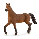Horse Club:  Oldenburger Mare